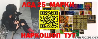 винт Новокубанск