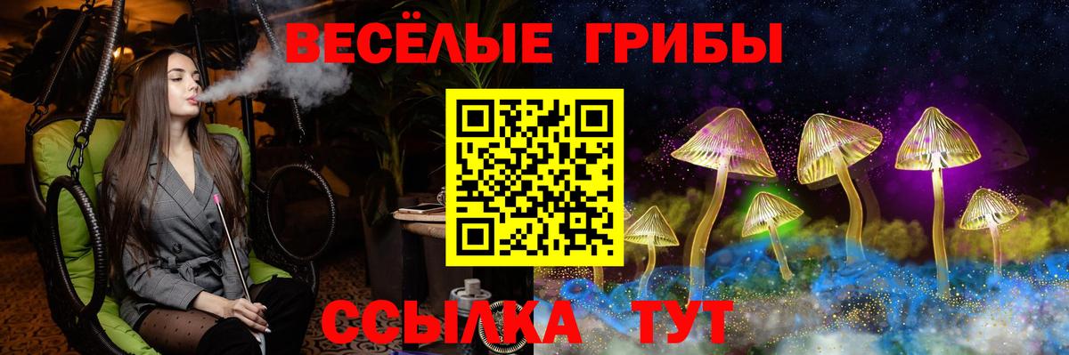 Тулун  Псилоцибиновые грибы Psilocybe  Псилоцибиновые грибы мицелий  Вход с VPN 